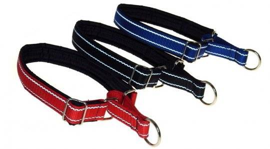 Trainingshalsbänder für Hunde
