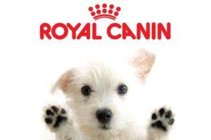 Royal Canin Hundefutter (Royal Canin)